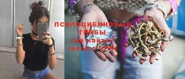 ПСИЛОЦИБИНОВЫЕ ГРИБЫ Абдулино